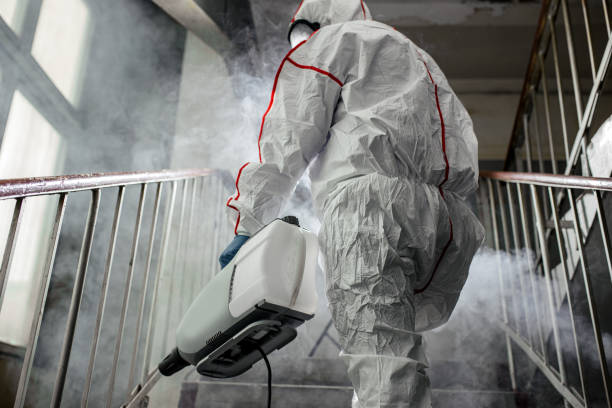 Why You Should Choose Our Mold Remediation Services in Branchville, SC